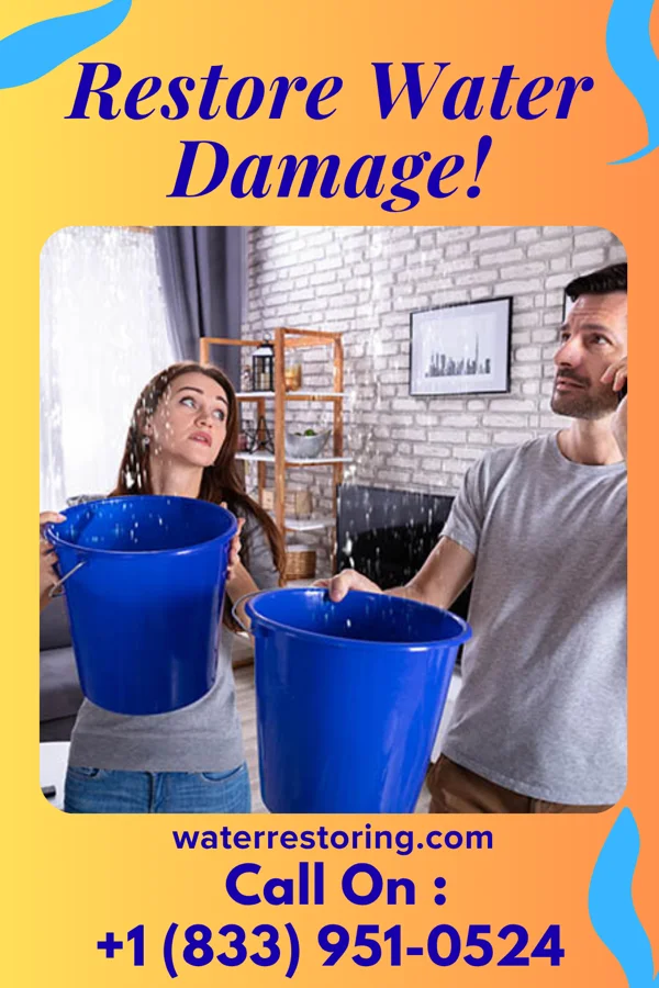 water restoration Zenith Water Restoration Inc Attleboro