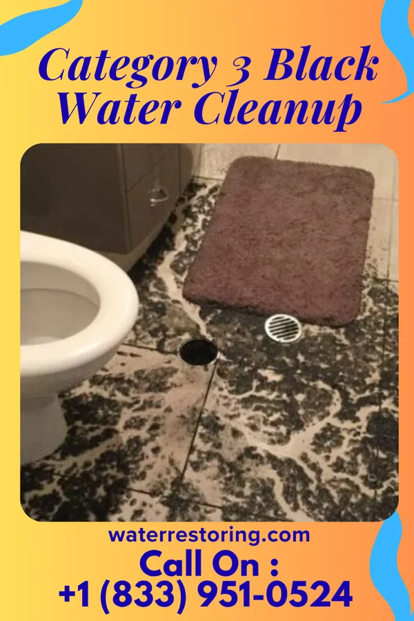 Category 3 Black Water Cleanup in Attleboro, MA
