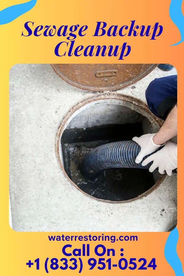 Sewage Backup Cleanup in Attleboro, MA