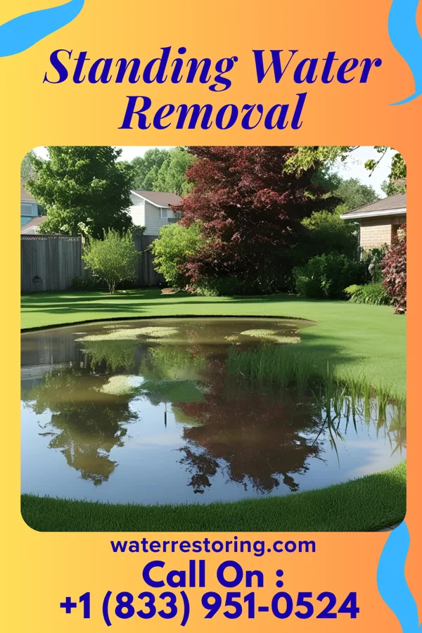 Standing Water Removal in Attleboro, MA